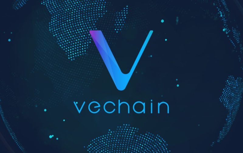 Состоялся запуск сети VeChain