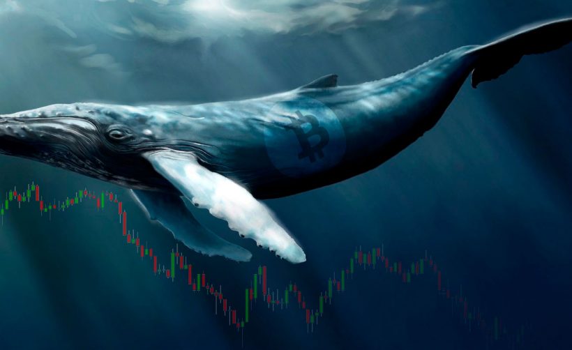 Внебиржевой рынок: влияние на курс биткоина и альткоинов