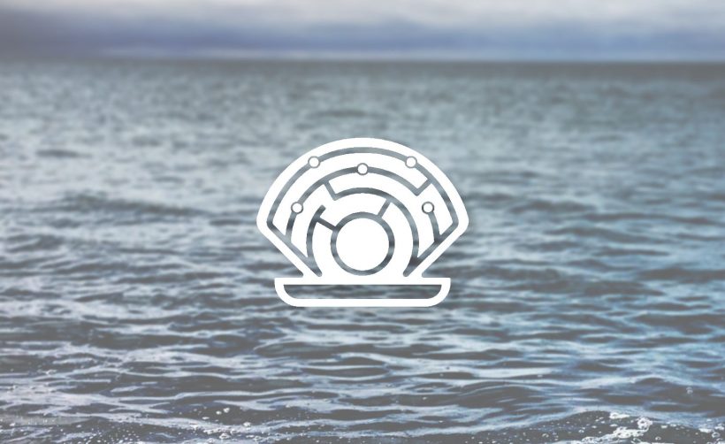 Команда Oyster Protocol хочет вернуть средства, украденные главой стартапа