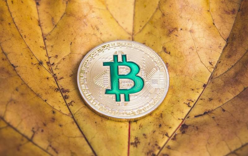 Сентябрь исторически негативен по отношению к биткоину